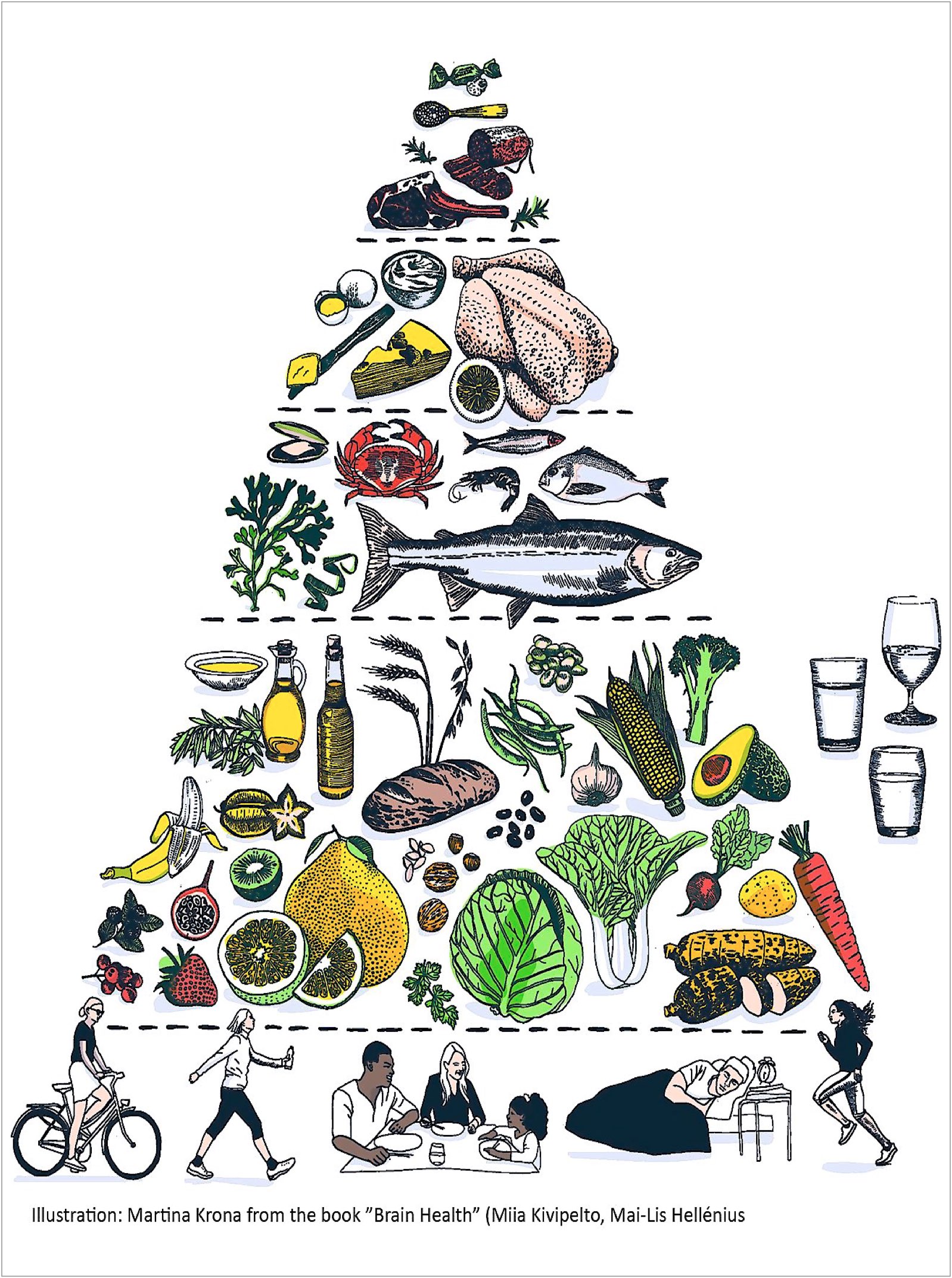 FINGER_Piramide_Alimentos